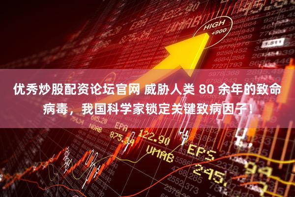 优秀炒股配资论坛官网 威胁人类 80 余年的致命病毒，我国科学家锁定关键致病因子！